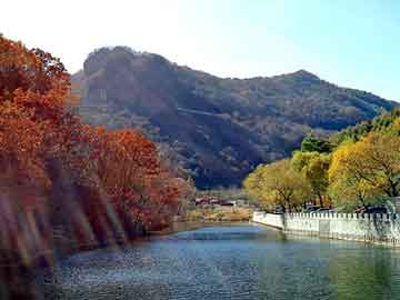 新澳天天开奖资料大全旅游团，莱芜市